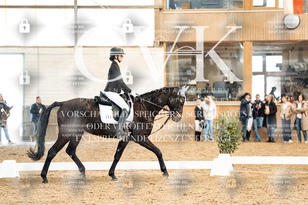 CK900179 | Turnierfotografie Pferdefotografie Trier Rheinland-Pfalz Pferdesport Reitsport Tierfotografie Sportfotografie Pferdevideo Pferdevideografie Equestrianvideography equestrianphotography  - Realized with Pictrs.com