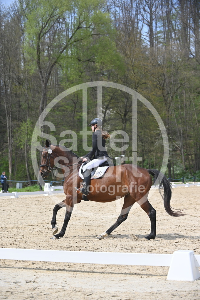 DSC_3432 | sattelsport - Realisiert mit Pictrs.com