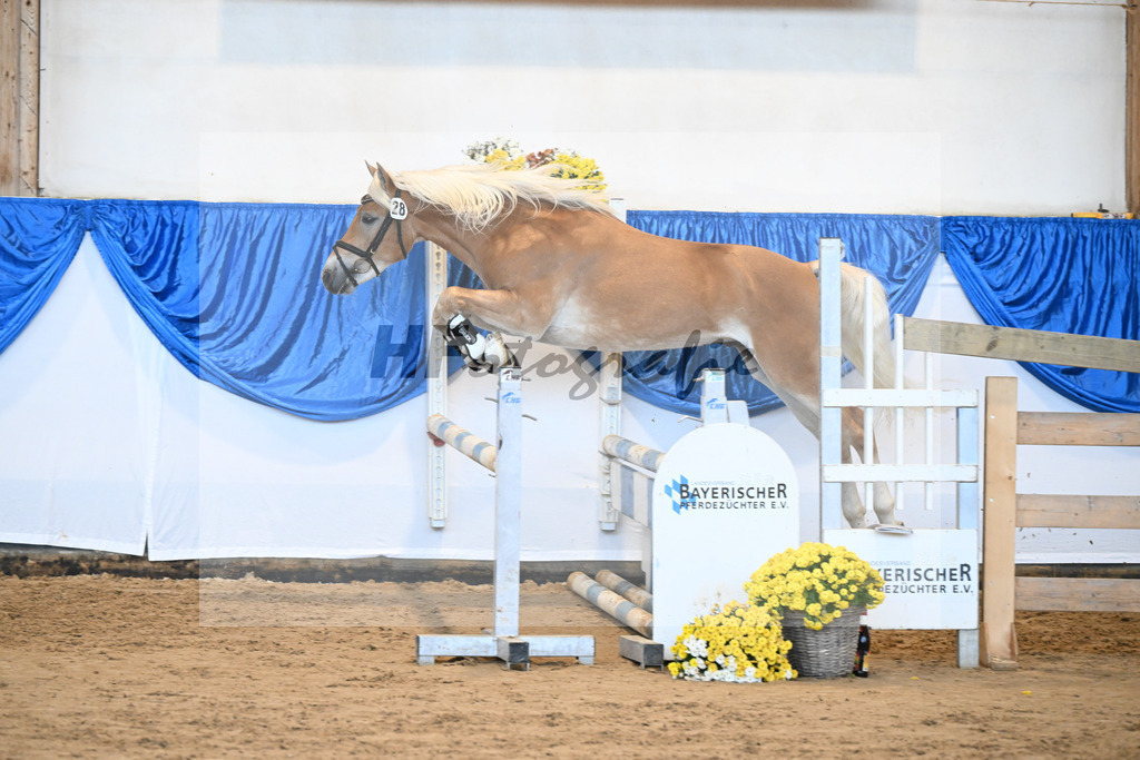 Kat-Nr. 28 nn v. Nio_Kirchberger_48250582 | hf-fotografie - Realisiert mit Pictrs.com