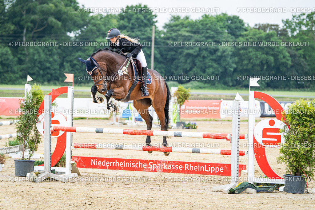 DSC03349 | Pferdegrafie