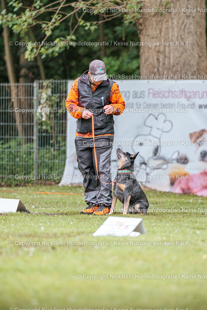 RO-Blumenthal-2026-Nickbest-Hundefotografie-1106 | Dein Hund! Dein Moment! Deine Erinnerungen! Hundefotografie in Bremen Blumenthal. Ich fange die besonderen Momente deines Vierbeiners ein – ob Indoor mit Blitzanlage oder in der freien Natur. Sicher dir dein Moment und dein Termin für eure Erinnerungen.