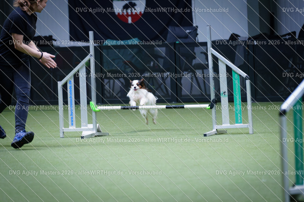 allesWIRTHgut_Tierfotografie-DVG_Agility_Masters_2026-12_19-7R502179 | Professionelle Tierfotografie in Mönchengladbach von Daniel Wirth (allesWIRTHgut). Liebevolle & natürliche Bilder von Hunden & Katzen für unvergessliche Erinnerungen.