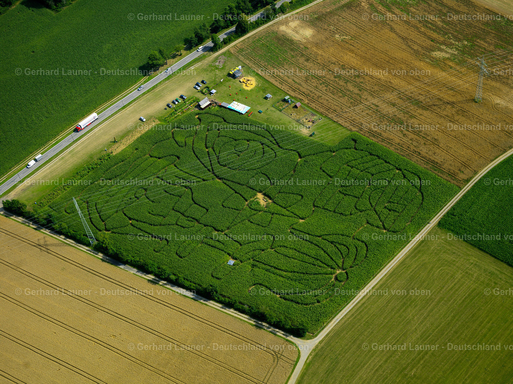 2819387 | Maislabyrinth bei Rexingen