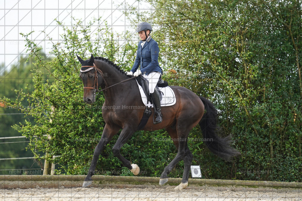 20230826-FAH04497 | Forstinning, 2023, Dressurturnier, Turniersportbilder, Turnierfotografen Bayern, Fotoagentur Herrmann, Reitsportfotografie, Turnierbilder