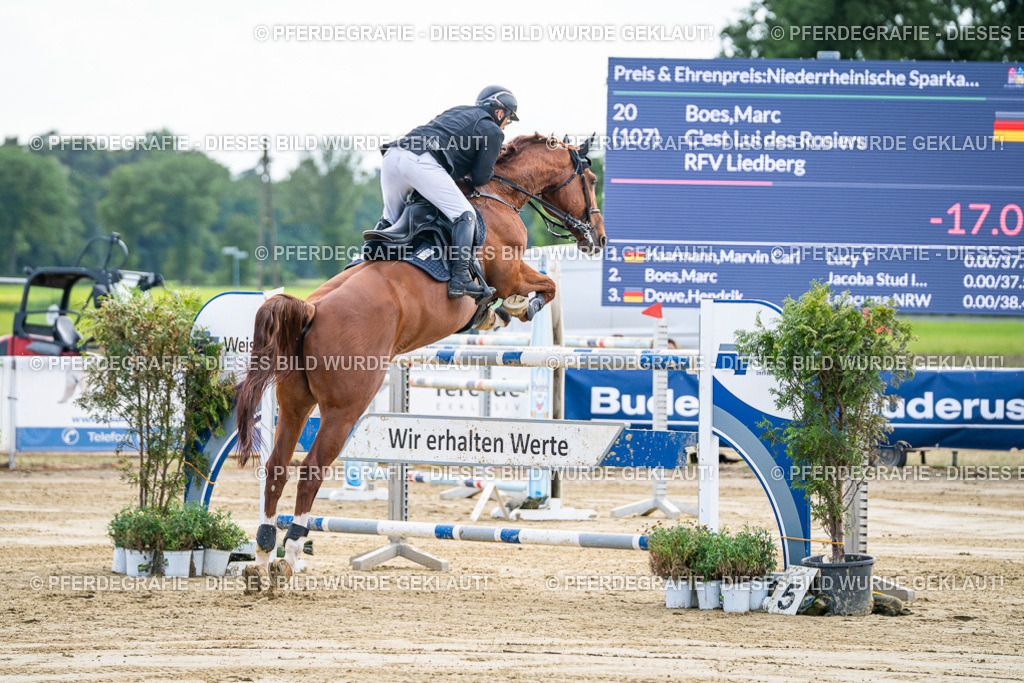 DSC07376 | Pferdegrafie