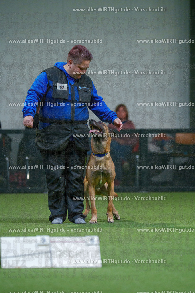 7R503738 | Professionelle Tierfotografie in Mönchengladbach von Daniel Wirth (allesWIRTHgut). Liebevolle & natürliche Bilder von Hunden & Katzen für unvergessliche Erinnerungen.