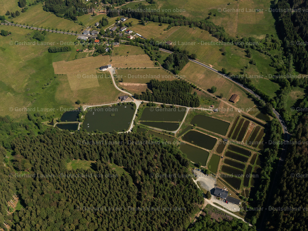 Forellenhof-Trauntal-3111581 | Forellenhof-Trauntal