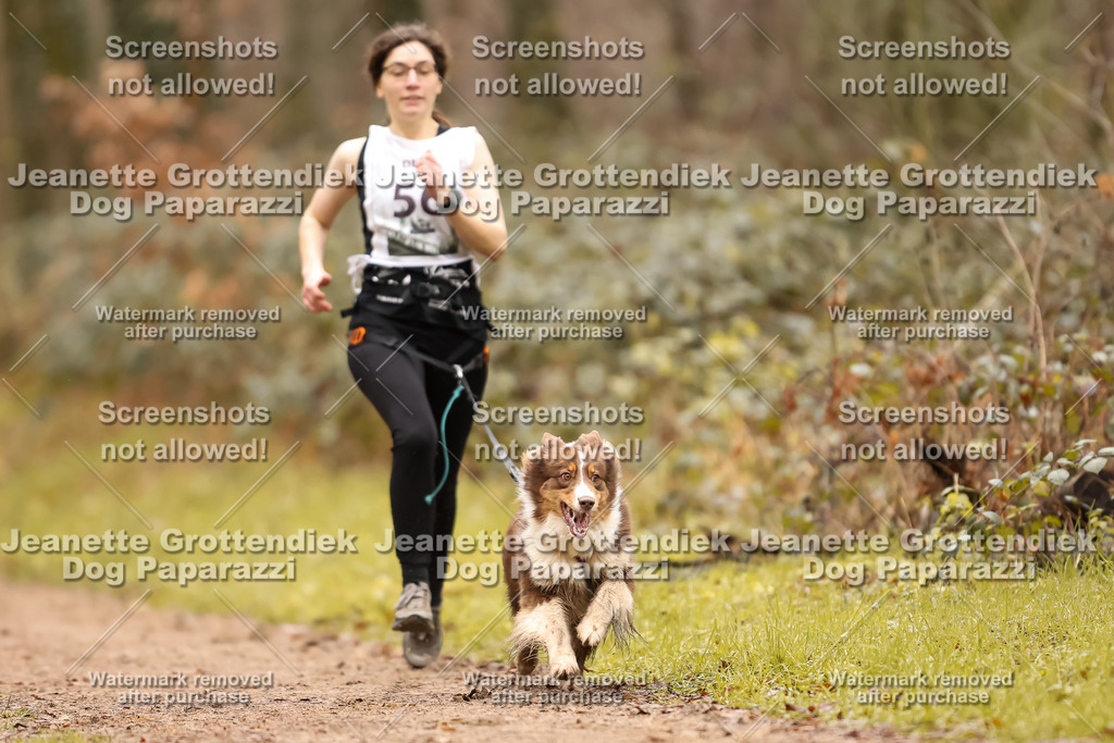 Dog Paparazzi - Speedhunter Mannheim  2025-157 | Dog Paparazzi Jeanette Grottendiek Fotografie & Videografie