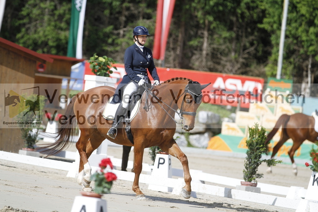 _MG_2806 | equestrian-live-com