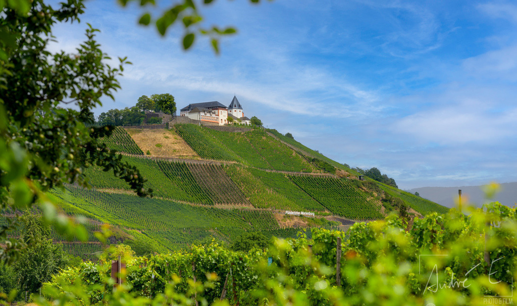 Die Marienburg bei Pünderich | Online Foto-Shop von André Engelhardt, Filmemacher und Fotograf. Fine Art Prints, Kunstdrucke, Fotogeschenke, Souvenirs von Mosel, Rhein und mehr. 