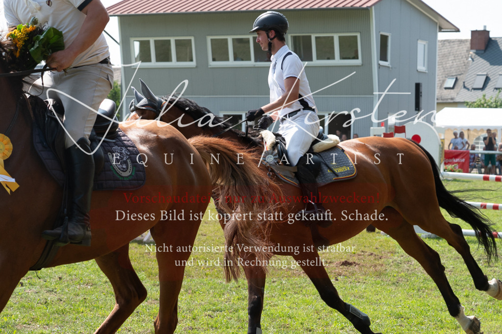 DSC_0717 | Pferde- und Turnierfotografie in Westsachsen. Pferdeportraits, Auftragszeichnungen und intuitive Kunst.