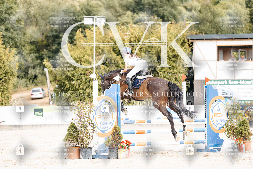 CK908910 | Turnierfotografie Pferdefotografie Trier Rheinland-Pfalz Pferdesport Reitsport Tierfotografie Sportfotografie Pferdevideo Pferdevideografie Equestrianvideography equestrianphotography  - Realisiert mit Pictrs.com