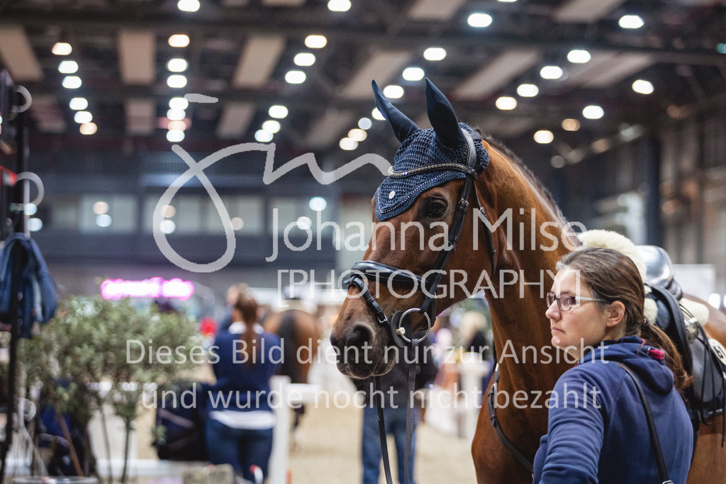 231028_Oldenburg_S1-Spr_Amateure-105 | Deine schönsten Turniermomente als professionelle Fotos! Entdecke hochwertige Pferdesport-Fotografie im Online-Shop. Jetzt Fotos finden & bestellen!