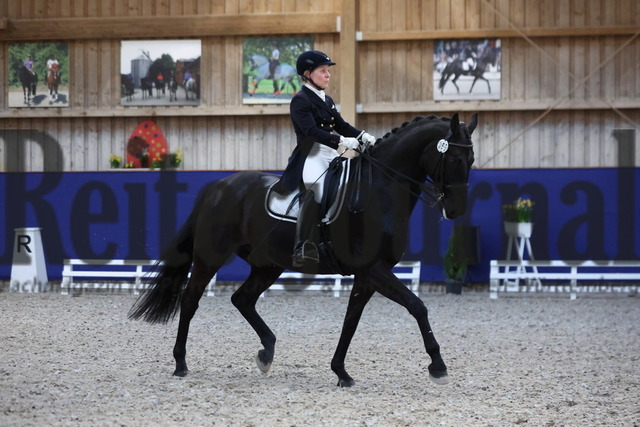 Zeutern_2023_Kurz-Grand-Prix_Annett Böhm_Blackmoney (2) | Alle Fotos der Reiterjournal Fotografin Doris Matthaes im Reiterjournal Online-Fotoshop. - Realizado com Pictrs.com