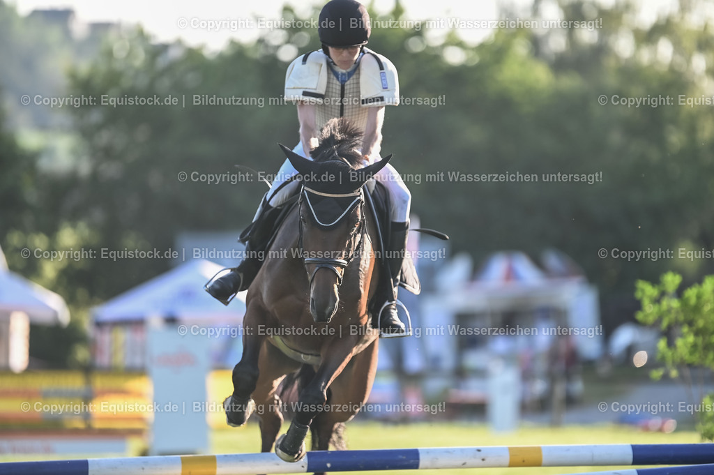 20230909_20_Leonberger-Derby_0131 | Foto: Thomas Hartig
