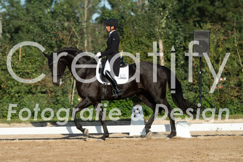 IMG_6013 | Creatify Fotografie