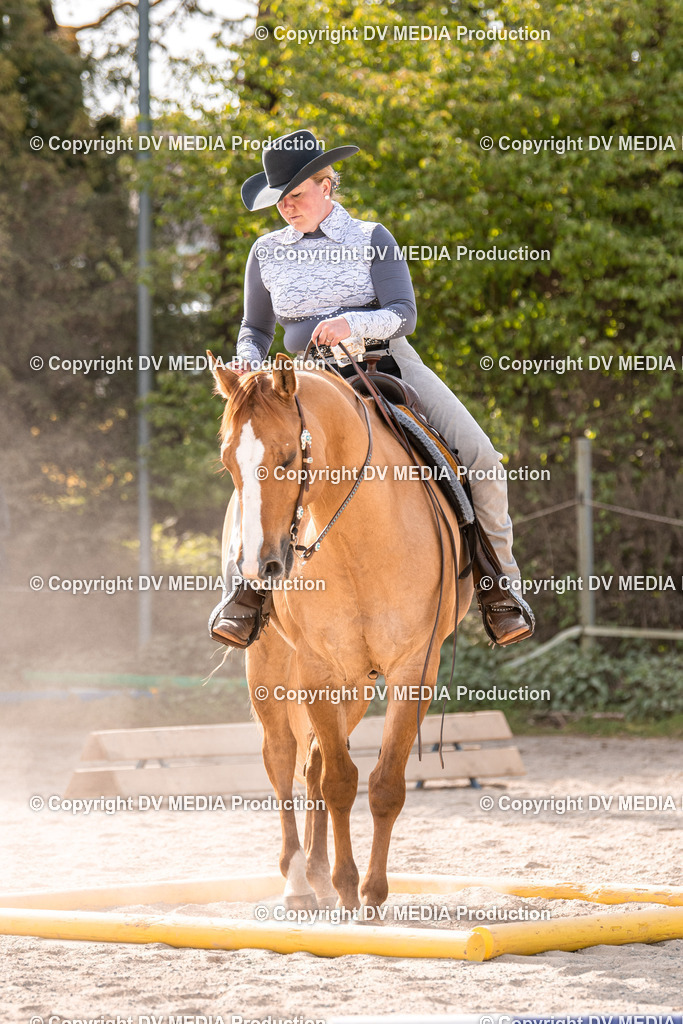 Balingen Tag 5-314 | dv-media-shop - Realisiert mit Pictrs.com