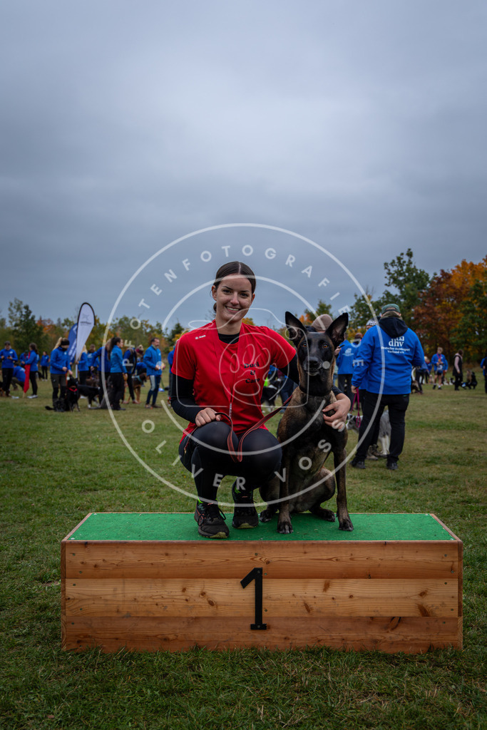 Pfotenfotografie_0L8A0743 | Hundefotografie, Tierfotograf, Pfotenfotografie, Fotoshooting Hund, Hunde Portrait, Hundesport, Hundeportraits, Heideshooting, Hunde, Sportfotograf, Hundefotograf, Turnierhundsport, THS,  - Realisiert mit Pictrs.com