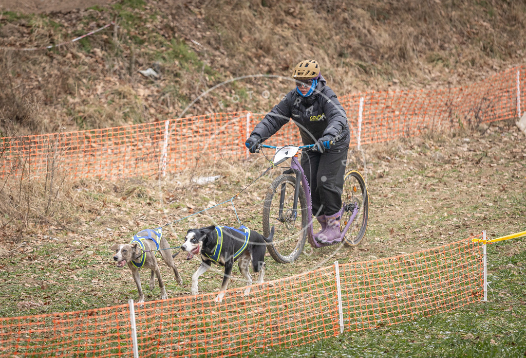 Pfotenfotografie_DV3A6614 | Hundefotografie, Tierfotograf, Pfotenfotografie, Fotoshooting Hund, Hunde Portrait, Hundesport, Hundeportraits, Heideshooting, Hunde, Sportfotograf, Hundefotograf, Turnierhundsport, THS,  - Realisiert mit Pictrs.com