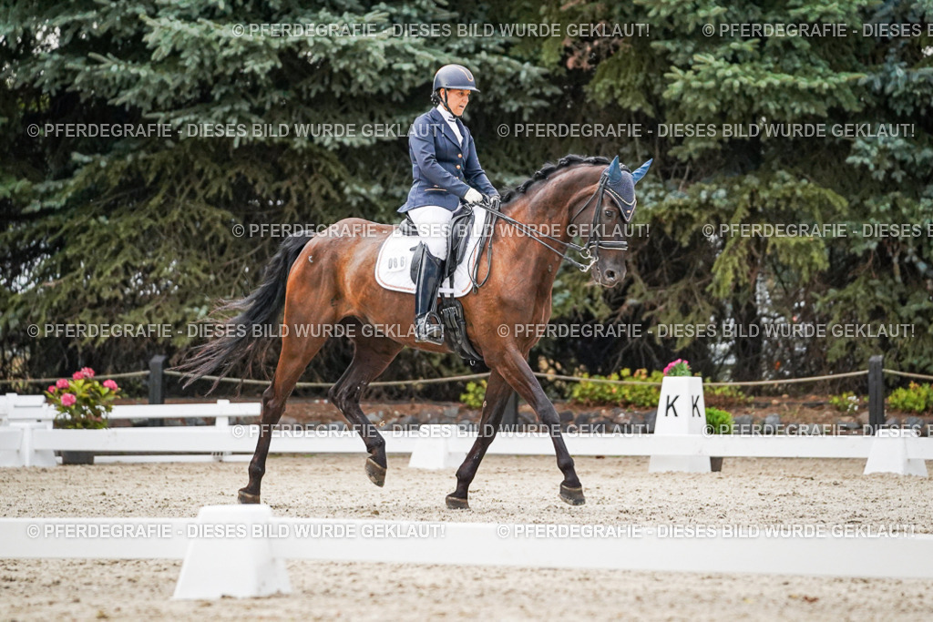 DSC09485 | Pferdegrafie