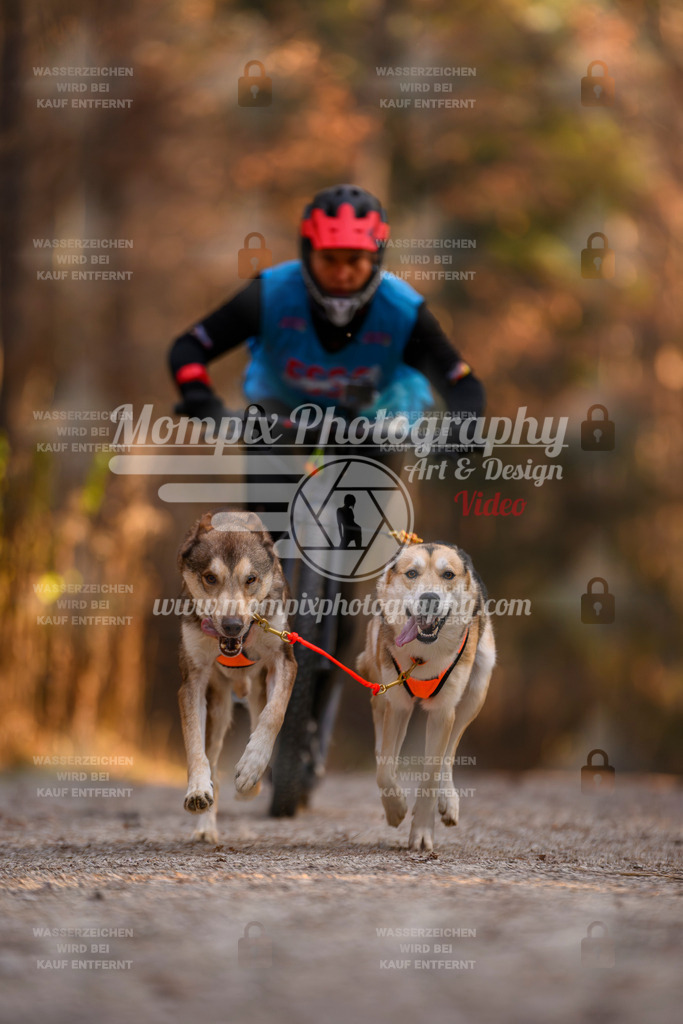 MompixPhotography_DM_AKDM_SO_2025_Scooter-54 | PayLife
