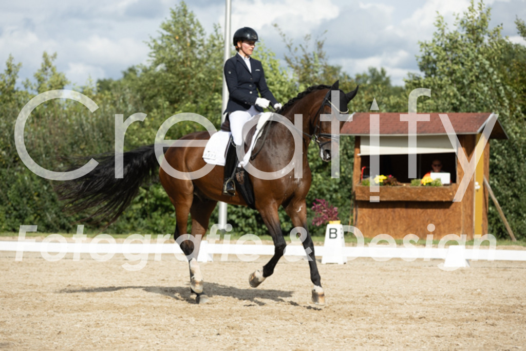 IMG_7035 | Creatify Fotografie