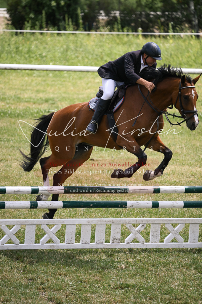 DSC_9406 | Pferde- und Turnierfotografie in Westsachsen. Pferdeportraits, Auftragszeichnungen und intuitive Kunst.