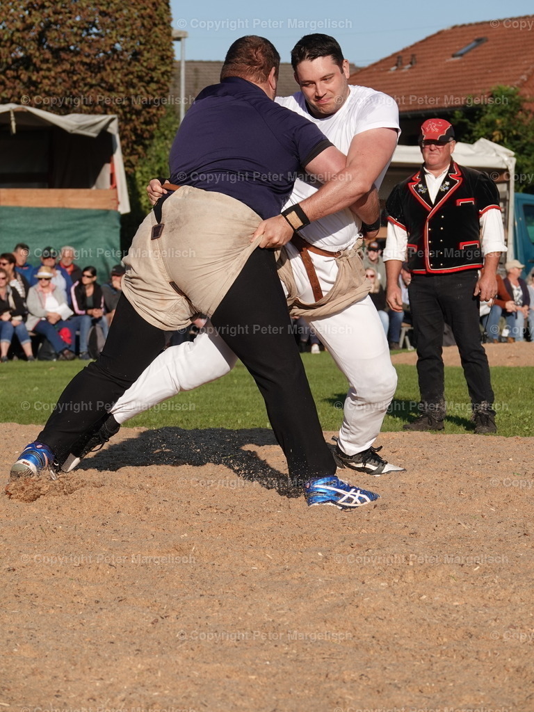 DSC05528 | Schwingen - Realisiert mit Pictrs.com