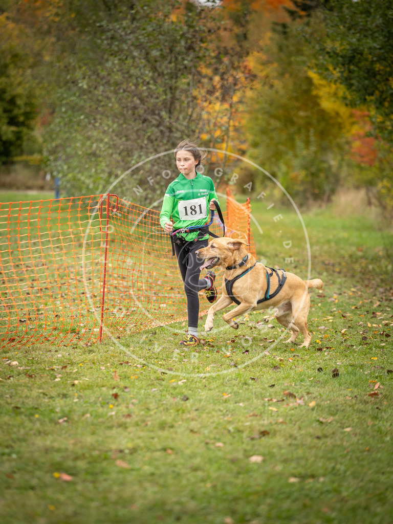 Pfotenfotografie_DV3A3768 | Hundefotografie, Tierfotograf, Pfotenfotografie, Fotoshooting Hund, Hunde Portrait, Hundesport, Hundeportraits, Heideshooting, Hunde, Sportfotograf, Hundefotograf, Turnierhundsport, THS,  - Realisiert mit Pictrs.com