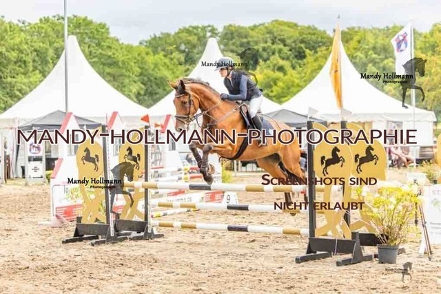 26-8-7 SPR A++-328 | mandyhollmannphotographie