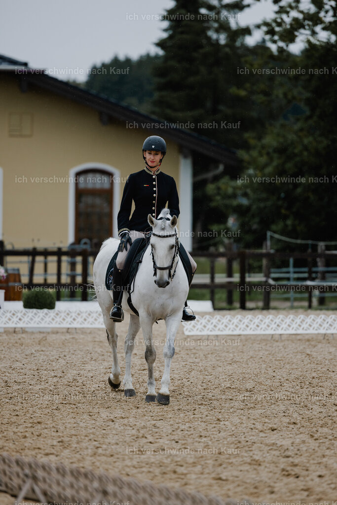 Virginie12FHC2025-25159 | working equitationturnier fotograf videograf stoibphotography marixx film working equitation deutschland reitsport turnierfotografie eventfotografie equestrian events