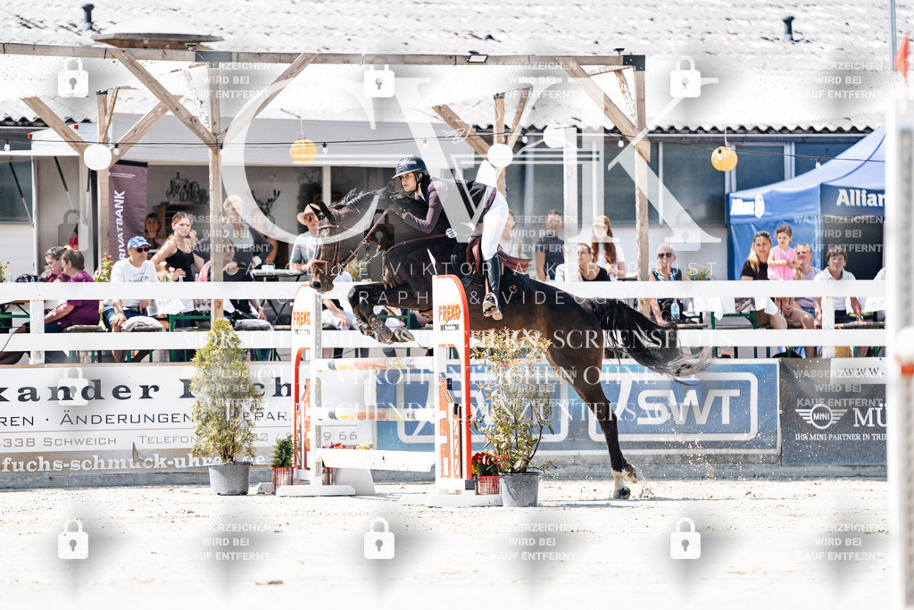 CK909430 | Turnierfotografie Pferdefotografie Trier Rheinland-Pfalz Pferdesport Reitsport Tierfotografie Sportfotografie Pferdevideo Pferdevideografie Equestrianvideography equestrianphotography  - Realisiert mit Pictrs.com