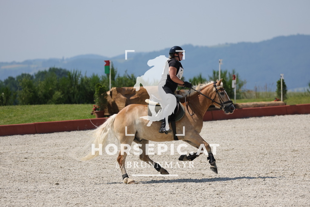 0P6A8078 | Willkommen bei Brunnmayr - Design & Fotografie – Ihrem Spezialisten für Reitturniere und Pferdeveranstaltungen in Oberösterreich, Salzburg und Bayern! Seit über 17 Jahren sind wir leidenschaftlich dabei.