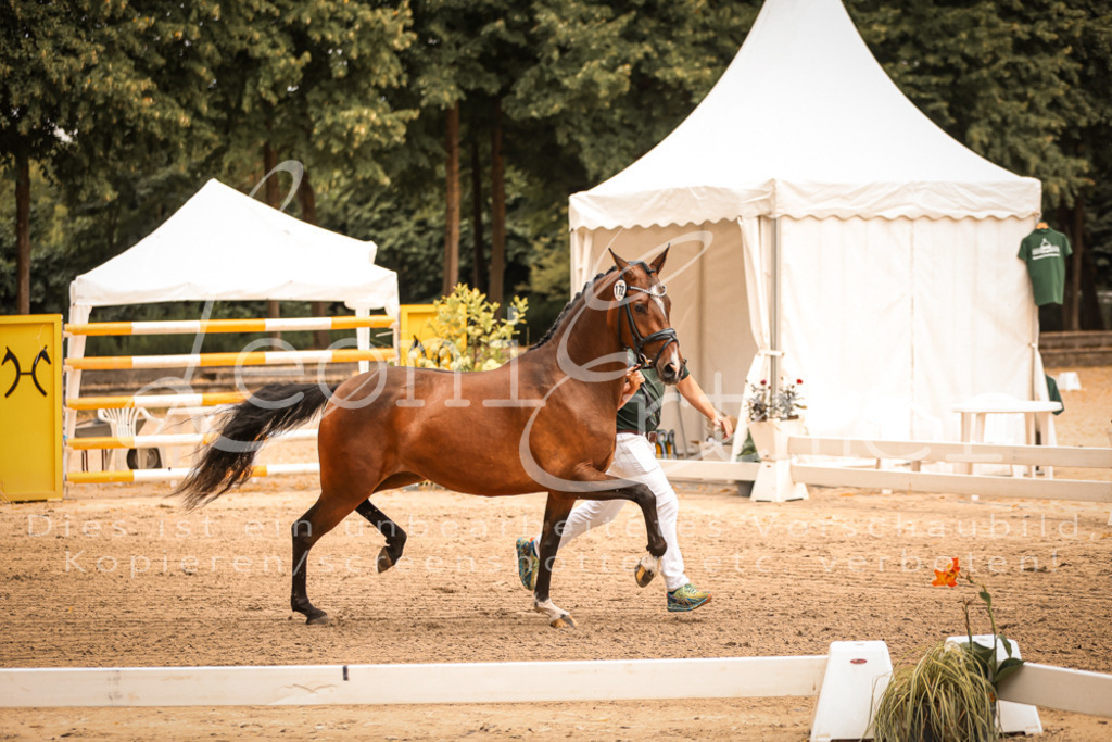 12.So00045 | Leoni Ertmer Photography - Realisiert mit Pictrs.com