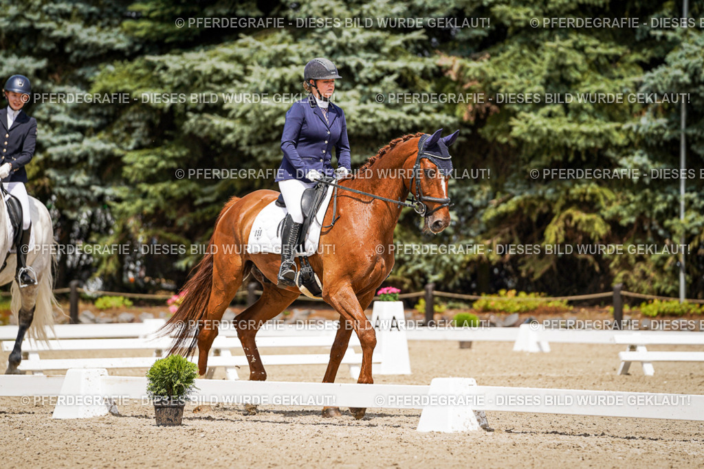 DSC02228 | Pferdegrafie