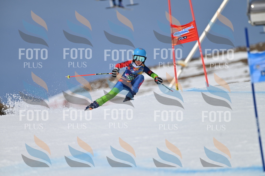 BGV_7133 | holidayphoto