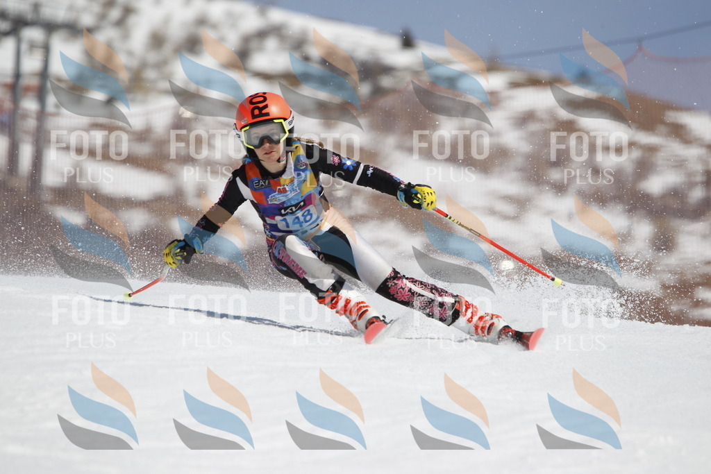 _U3G1179 | holidayphoto