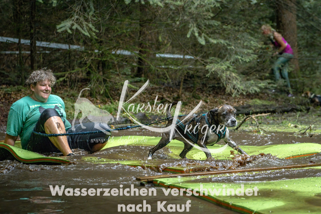 1515_ZZ94979-Bearbeitet | kk-dogfotos