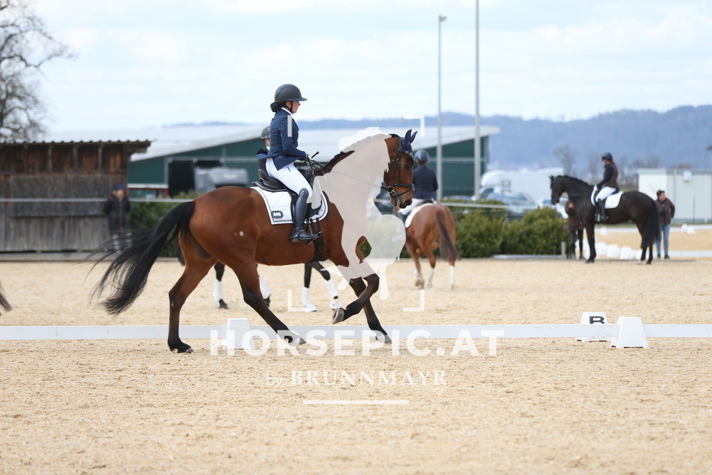 AS8V1580 | Willkommen bei Brunnmayr - Design & Fotografie – Ihrem Spezialisten für Reitturniere und Pferdeveranstaltungen in Oberösterreich, Salzburg und Bayern! Seit über 17 Jahren sind wir leidenschaftlich dabei.