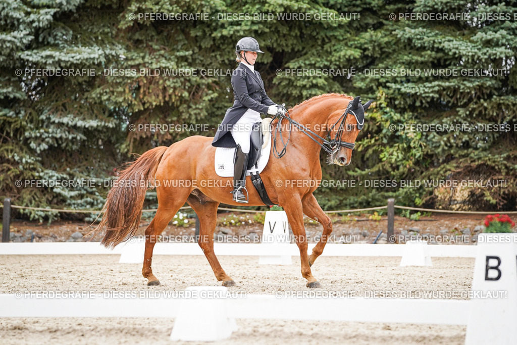 DSC05314 | Pferdegrafie