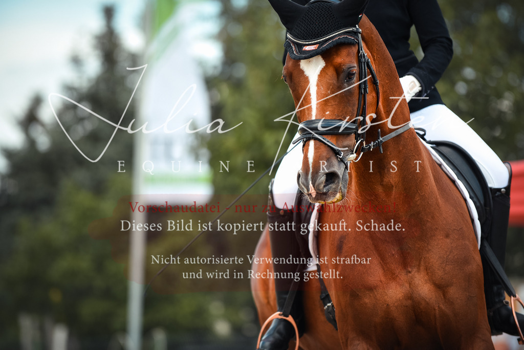 DSC_9119 | Pferde- und Turnierfotografie in Westsachsen. Pferdeportraits, Auftragszeichnungen und intuitive Kunst.