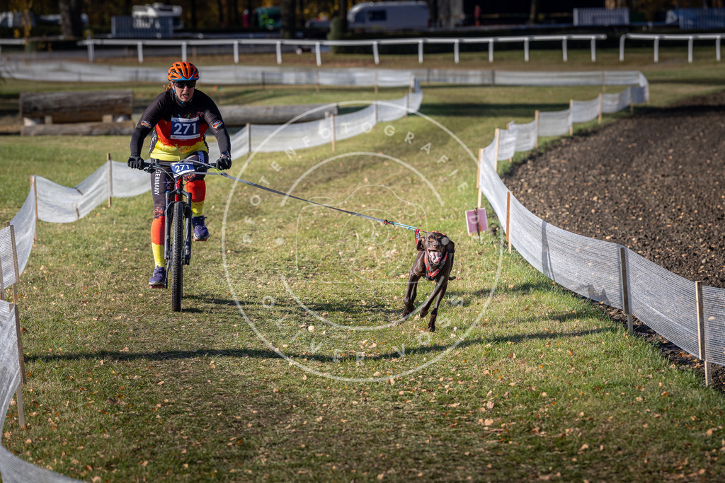 CaniXpix_DV3A5193 | Hundefotografie, Tierfotograf, Pfotenfotografie, Fotoshooting Hund, Hunde Portrait, Hundesport, Hundeportraits, Heideshooting, Hunde, Sportfotograf, Hundefotograf, Turnierhundsport, THS,  - Realisiert mit Pictrs.com