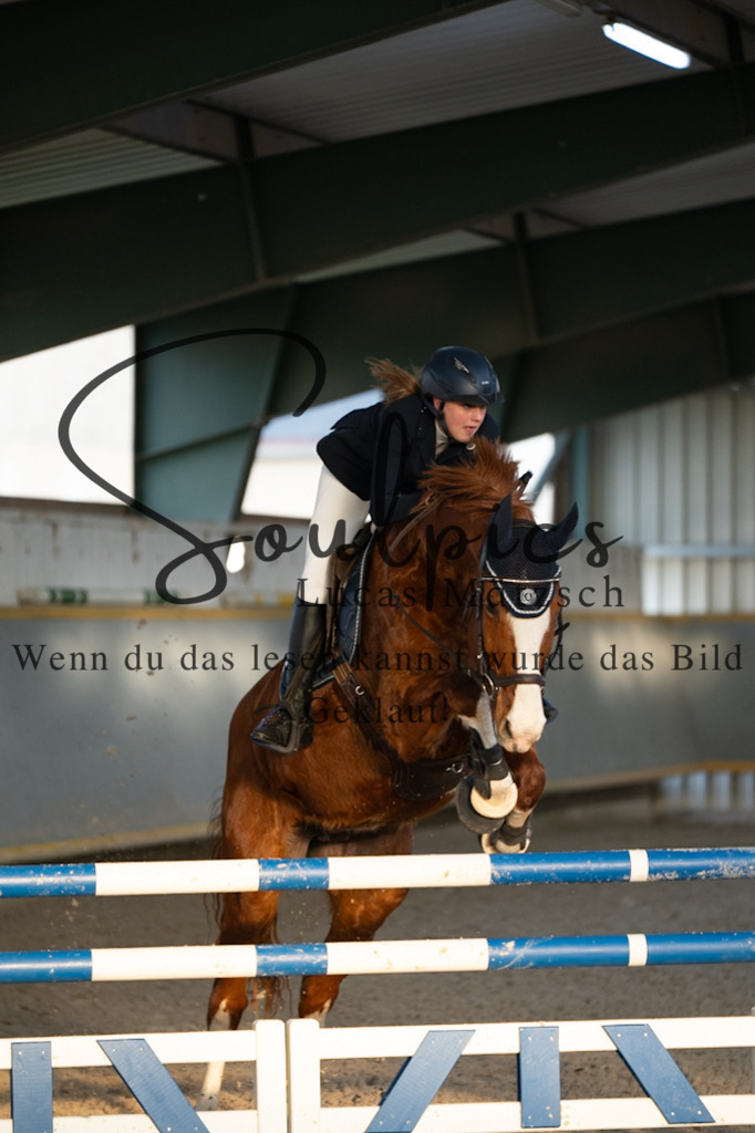 A7V07592 | Pferdefotograf