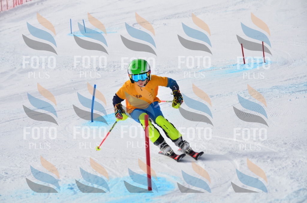 C8047 | holidayphoto