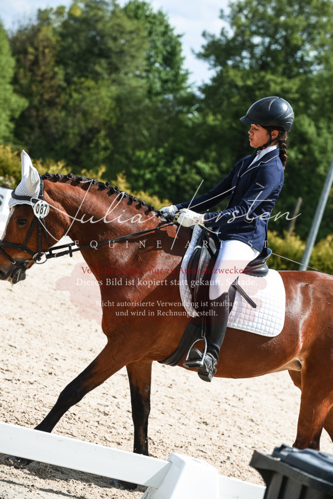 20230518_JK-Röhrsdorf-11-0705 | Pferde- und Turnierfotografie in Westsachsen. Pferdeportraits, Auftragszeichnungen und intuitive Kunst.