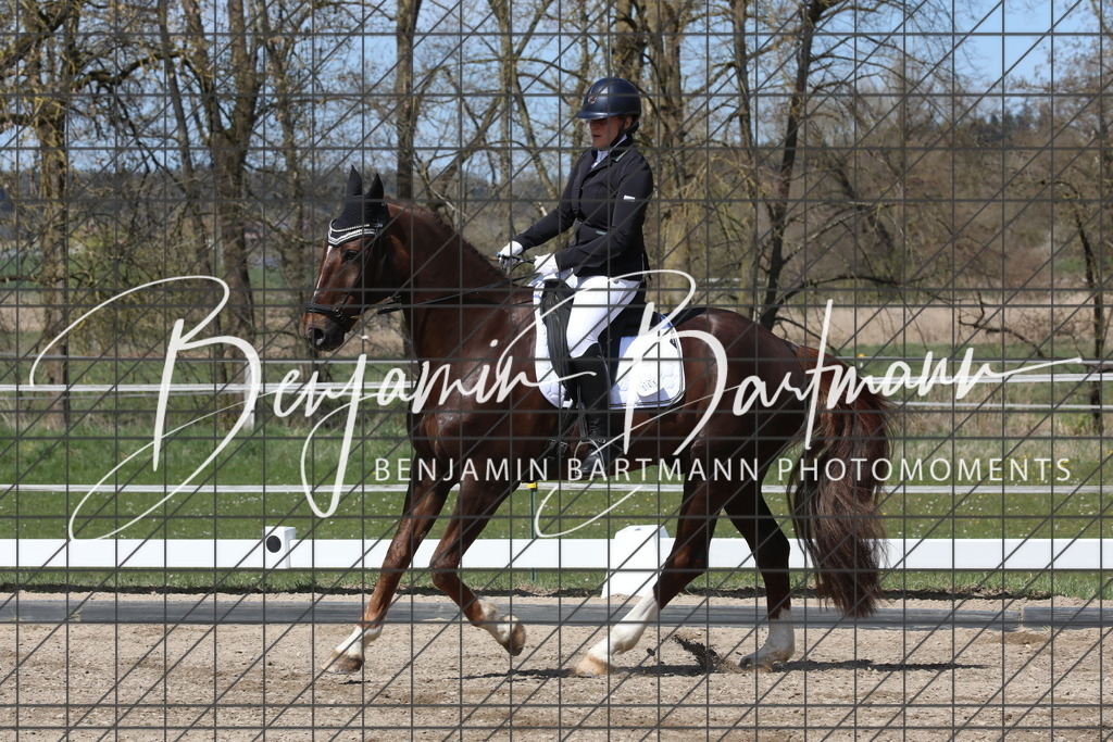 AZ2A4028 | Benjamin Bartmann Photomoments