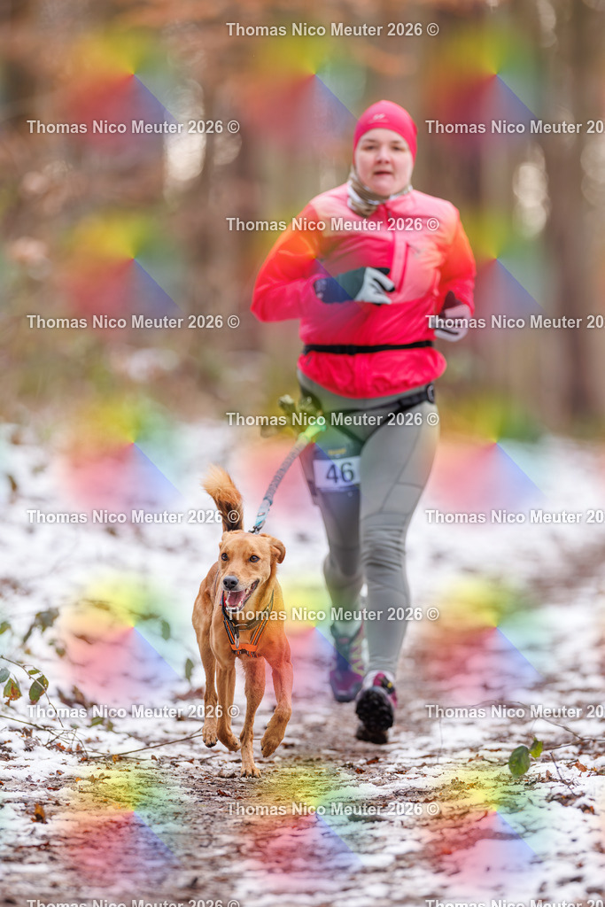 Thomas_Nico_Meuter(C)_223A8773 | Bild von Thomas Nico Meuter - Realisiert mit Pictrs.com