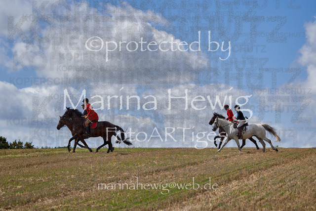 _MCH8414_Marina Hewig | Fotografie, FotoArt, PferdesportArt, Pferdesportfotografie, Landschaftsfotografie, Reisefotografie, Reise, Pferde - Realisiert mit Pictrs.com
