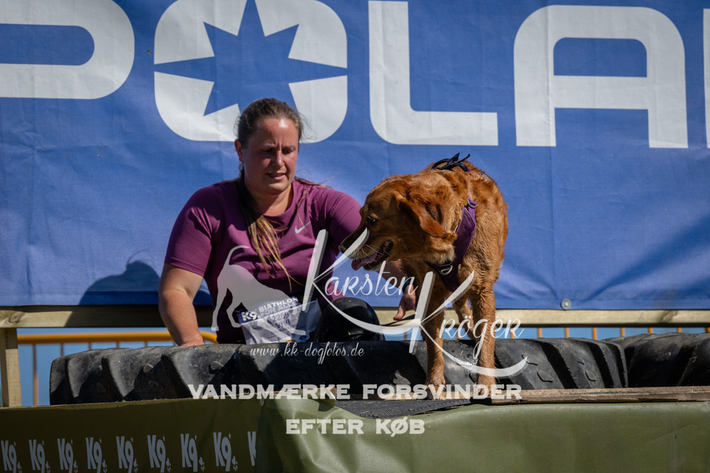 1123_ZZ91520 | kk-dogfotos