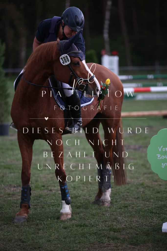 IMGT2101 | pl-fotografie